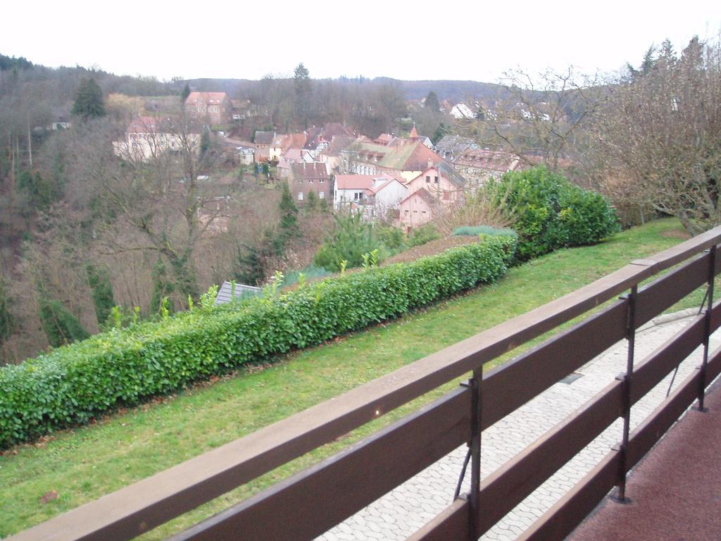 Villa Du Lion D'or La Petite-Pierre Camera foto