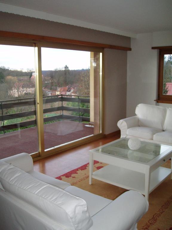 Villa Du Lion D'or La Petite-Pierre Camera foto